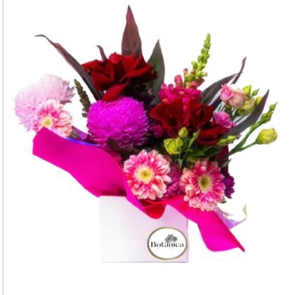 Burst Of Blooms ( Boxed )