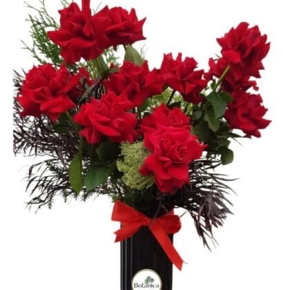 Romance (12 X Roses)