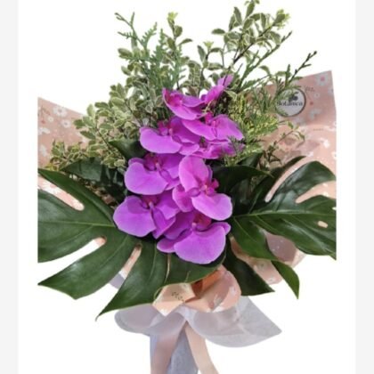 Orchid Paradise