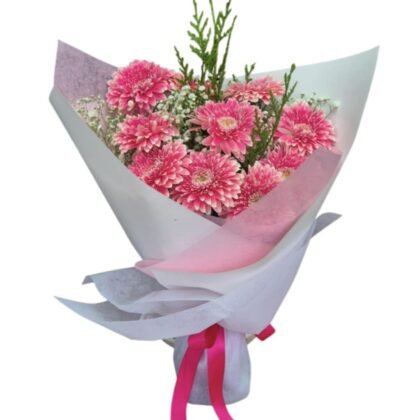 Gerberas Beauty