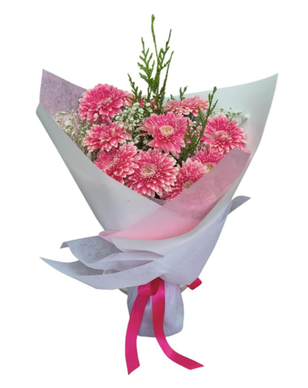 Gerberas Beauty