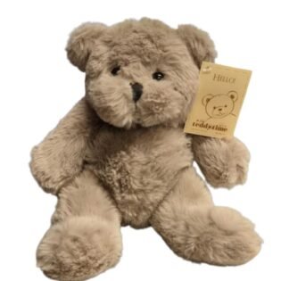 Brown Teddy Time Quality Plush (20cm)