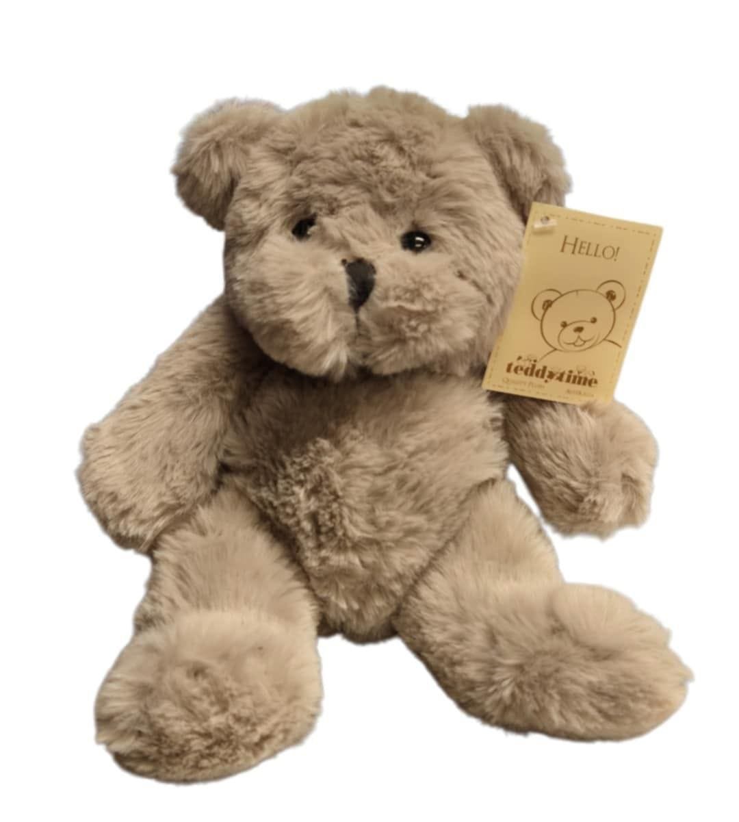 Brown Teddy Time Quality Plush (20cm)