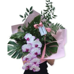 High Fashion Orchid