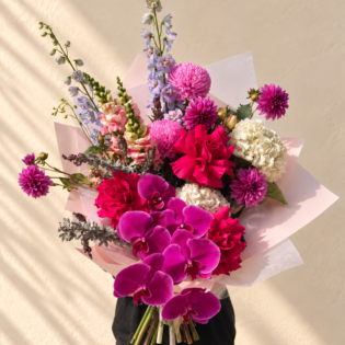 Vibrant Pinks